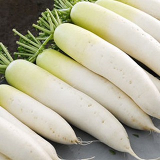 20g Hạt giống Củ Cải trắng