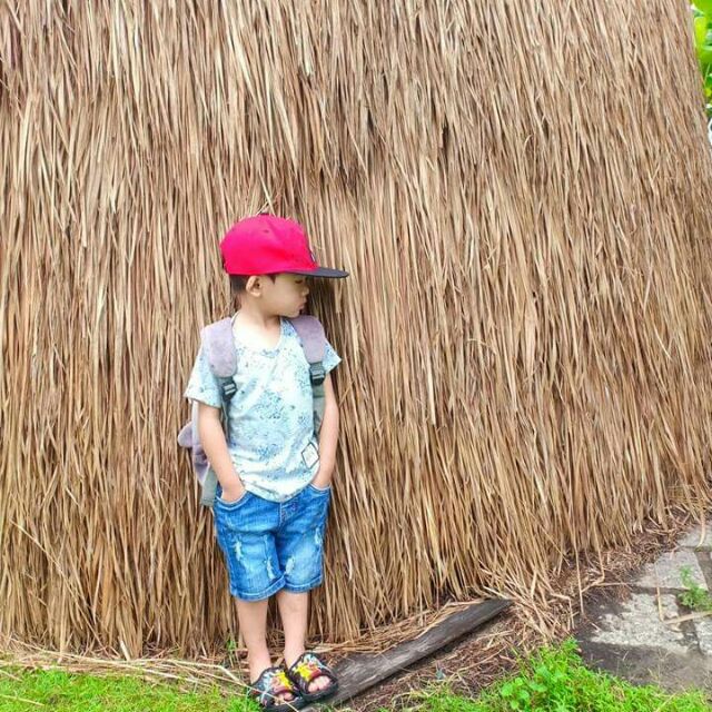 Sĩ áo họa tiết