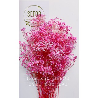 Mua Hoa Baby Bloom hồng baby Gypsophila hoa khô trang trí phòng