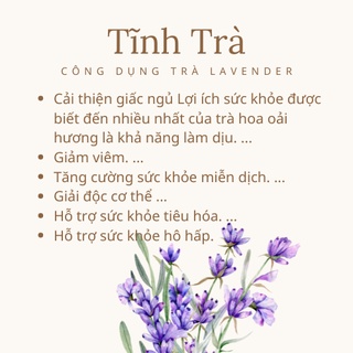 trà hoa lavender_tĩnh trà