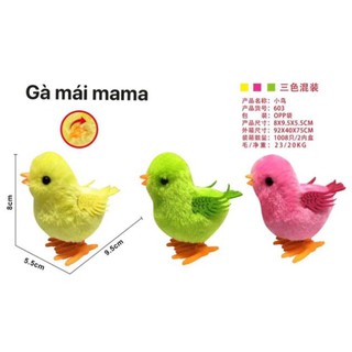 SÉT 5 CHÚ GÀ VÀNG BIẾT NHẢY SIÊU HÓT