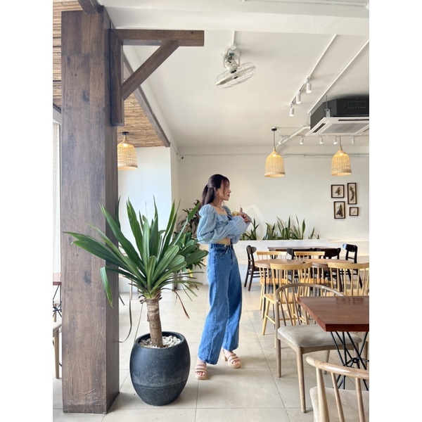 Áo kiểu croptop tay dài nữ tính phong cách hàn quốc