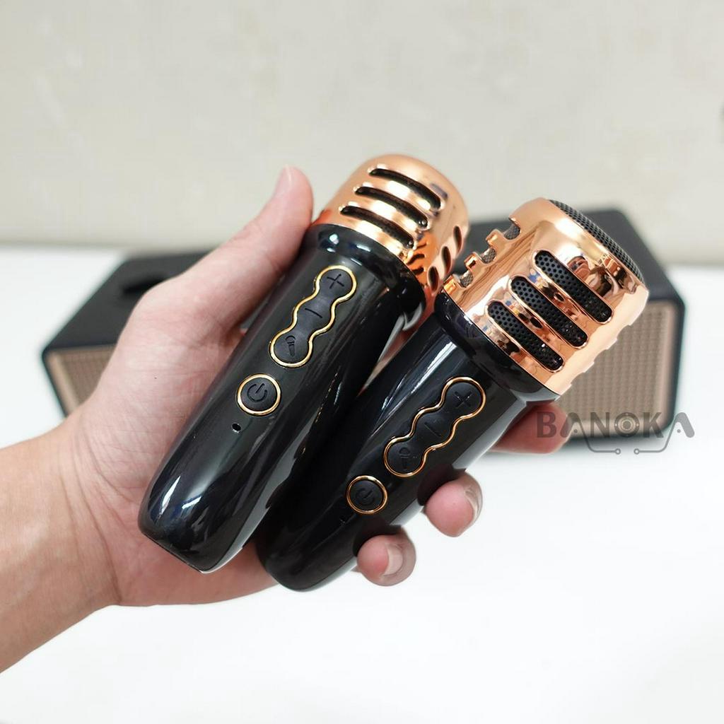 Loa karaoke bluetooth peterhot A2204 tặng kèm 2 tay micro không dây hát karaoke cực đỉnh