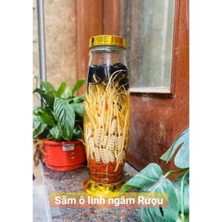 COMBO BÌNH SÂM