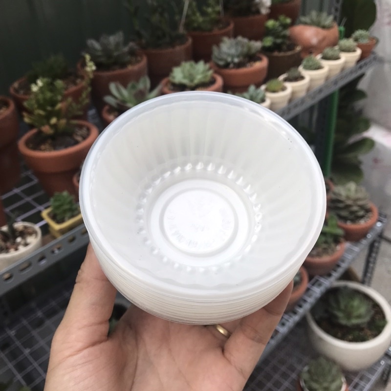 Chén nhựa dùng 1 lần-chén giấy dùng 1 lần