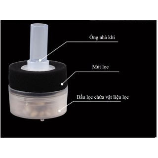 Lọc Bio mini kiêm đầu sủi oxi cho bể cá nhỏ nuôi cá bột