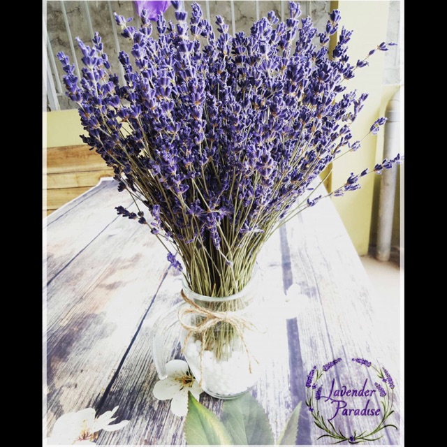 Bình hoa khô Lavender Pháp #BH003