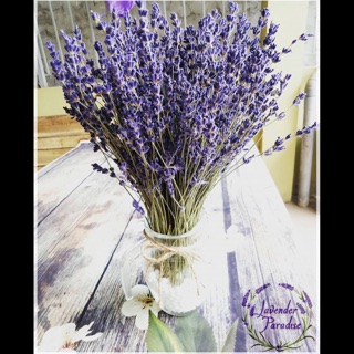Bình hoa khô Lavender Pháp #BH003