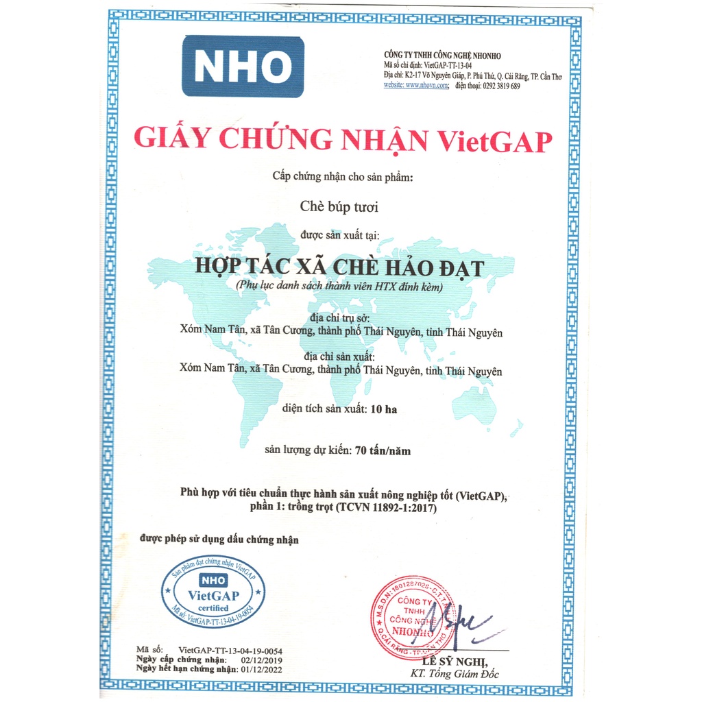 Chè  Thái Nguyên Tân Cương HẢO ĐẠT Tôm Nõn Đặc Sản