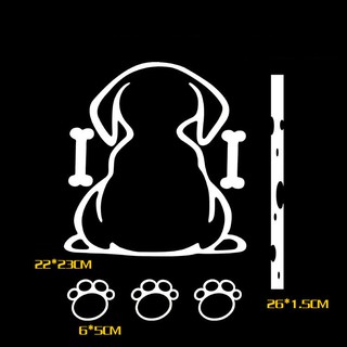 Decal con mèo trang trí xe ô tô