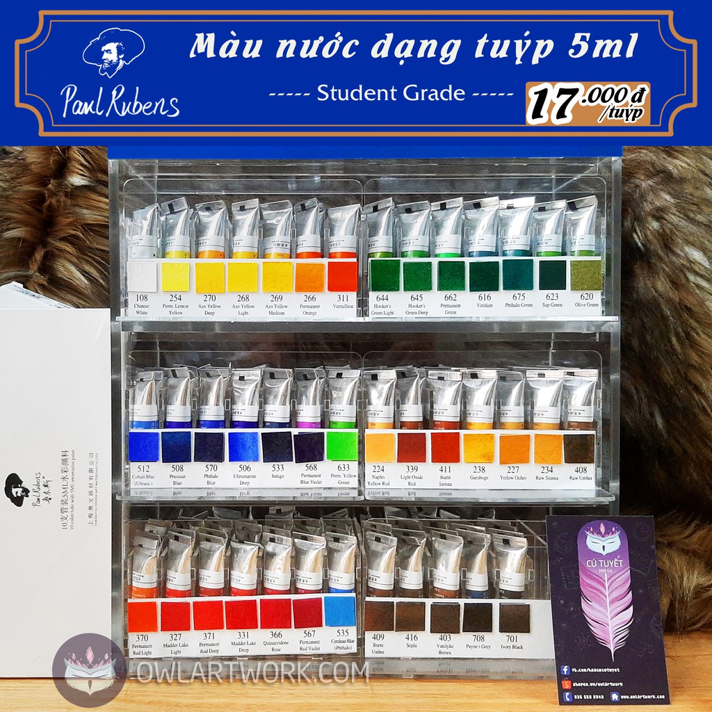 MÀU LẺ P1 - Màu Nước Paul Rubens Tuýp 5ml Student Grade