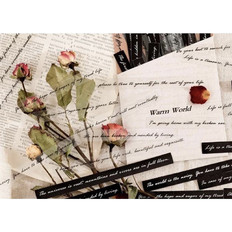 Sticker cute/Set 40 hình dán câu Quote Tiếng Anh dễ thương trang trí sổ planner bullet journal Hàn Quốc Tẻn Tẻn