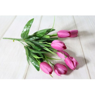 Cành hoa tulip 7 bông hoa