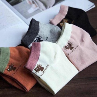 Combo 10 đôi tất  mèo miu
