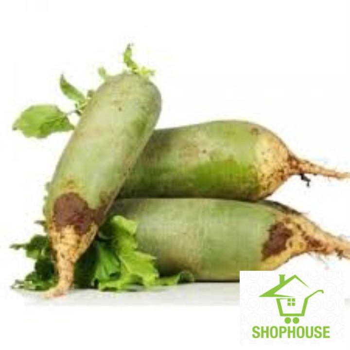 shophouse gói 5gr hạt giống củ cải đường (củ cải xanh)  SHOP HOUSE  TẾT KHUYẾN MẠI