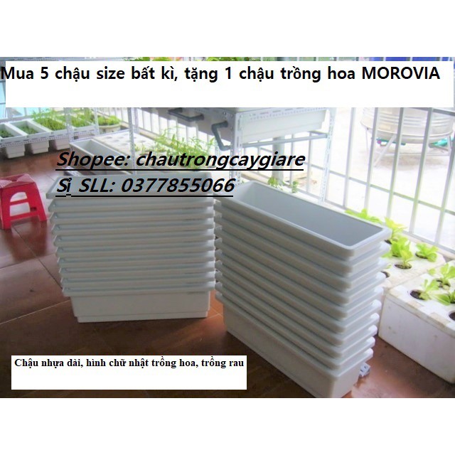 COMBO Khung sắt treo 3 tầng+ Chậu nhựa trồng rau, hoa cây cảnh ban công, máng trồng rau nhựa dài chữ nhật dài 60*20*16cm