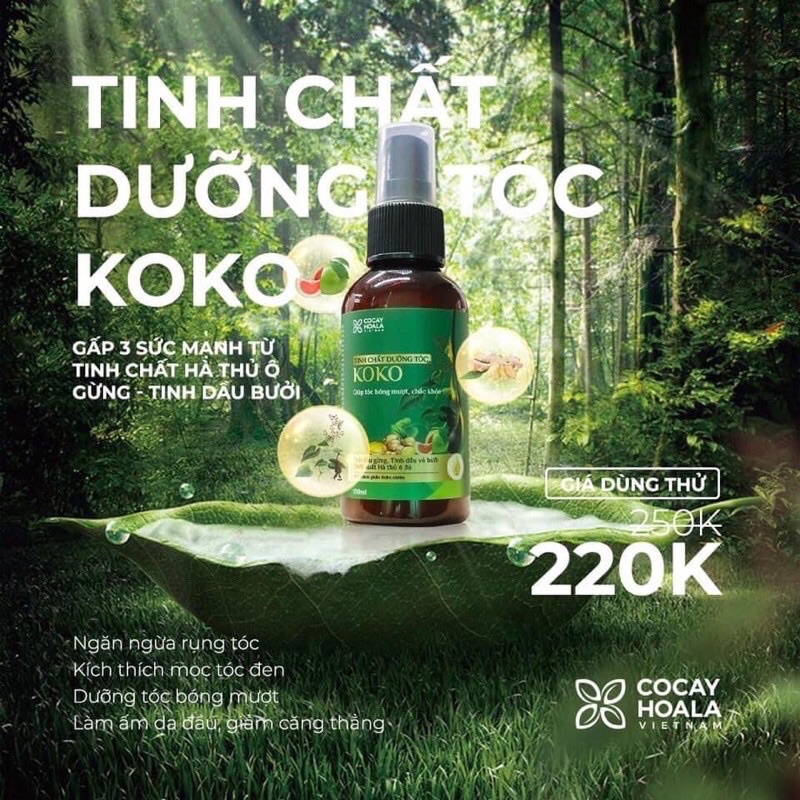 Tinh chất dưỡng tóc Koko ngăn rụng tóc, giúp mọc tóc, mềm mượt tóc 100ml