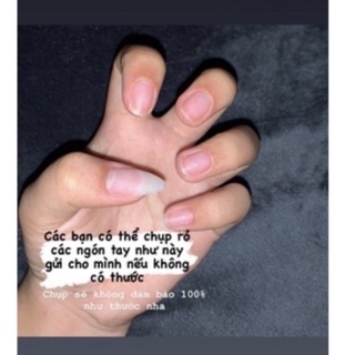 NAILBOX MÀU ĐEN - NAILBOX VẼ GẤU