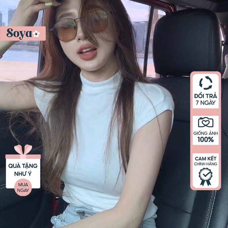 Áo tay hến cổ neo cotton 3 màu đen, trắng và xanh dương 3 size SML Soya mã VA222 - Có ảnh thật