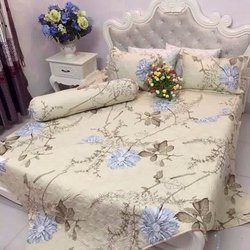 Bộ chăn ra gối cotton Poly
