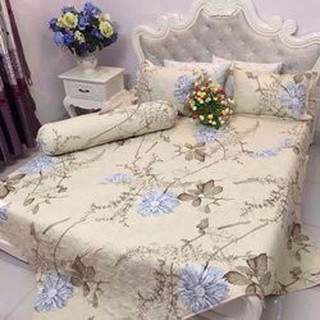 Bộ chăn ra gối cotton Poly