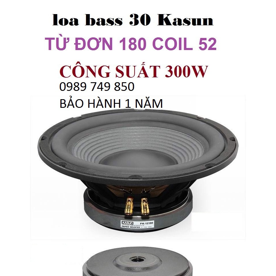 Loa bass 30 cao cấp Kasun-1 LOA