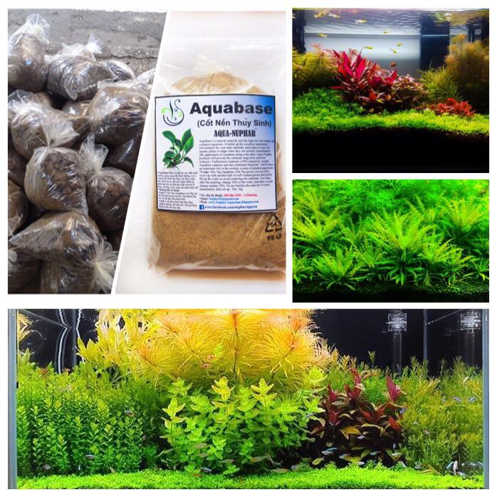 AQUABASE ( CỐT NỀN THỦY SINH)