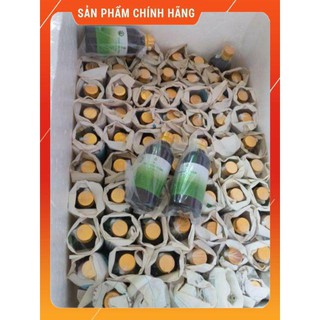 Tinh Dầu Tràm Trần Mao 100ml