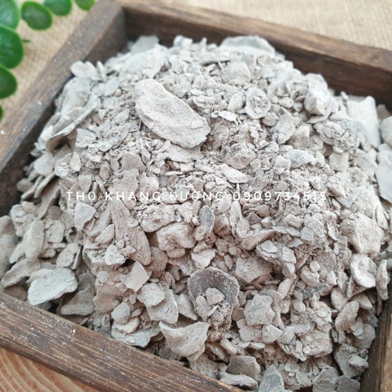 Mẫu lệ nung - vỏ hàu, đã xay nhỏ và xử lý mùi