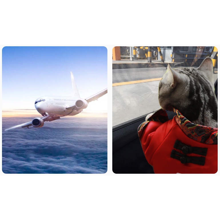 Lồng vận chuyển thú cưng, Lồng hàng không vận chuyển chắc chắn, phù hợp với loại loại thú cưng