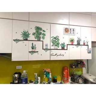 decal dán tường chậu cây trang trí