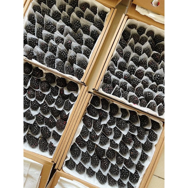 Mâm xôi đen, Phúc Bồn Tử nhà trồng 500g