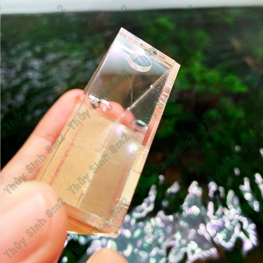 Chén thức ăn tép - Chén acrylic hít thành hồ - 8m2