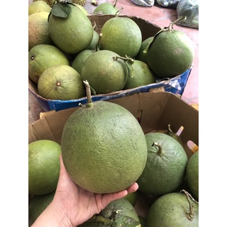 Bưởi Da Xanh 60k/kg