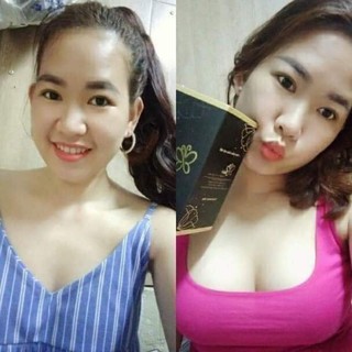 VIÊN UỐNG ĐIỀU HUYẾT ( THỦY MỘC ĐƠN BRIAR )