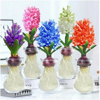 Lọ thủy tinh miệng loe miệng dùng để cắm hoa, trồng cây thủy sinh cao 14cm, miệng rộng 7.5cm