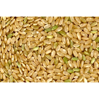 Gạo lức trắng 6 tháng sạch tự nhiên 5kg - Smile Farm
