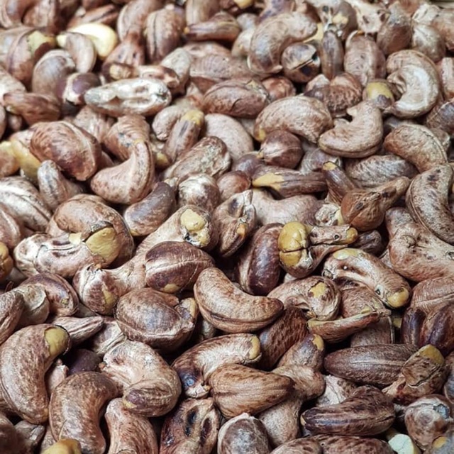 Điều nguyên Bình Phước