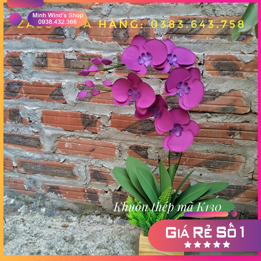 K130 - Khuôn Thép, Khuôn Cắt Hoa Lan Hồ Điệp