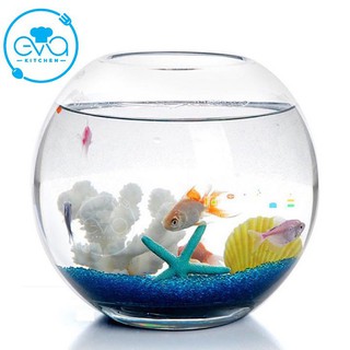 Hồ Cá Thuỷ Tinh Tròn Bầu 17 x 13 Cm T11 Tặng Kèm Sỏi Và Rong Trang Trí
