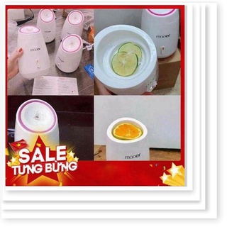 Máy Xông Hơi Mặt Trái Cây Hoa Quả Maoer Tại Nhà