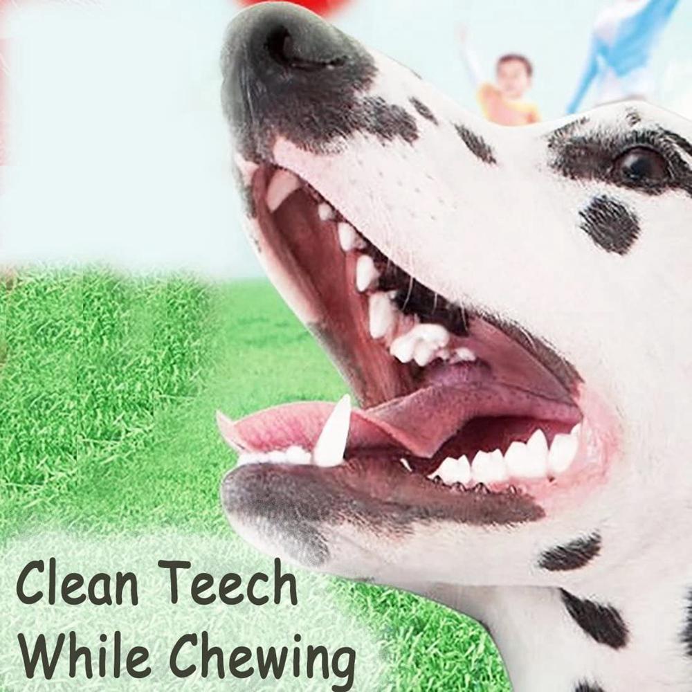 Đồ Chơi Ngậm Cắn Dạng Dây Xoắn Thú Vị Cho Thú Cưng