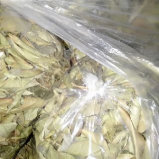 Lá trà rừng Lai Châu (lá chè thơm xao khô)