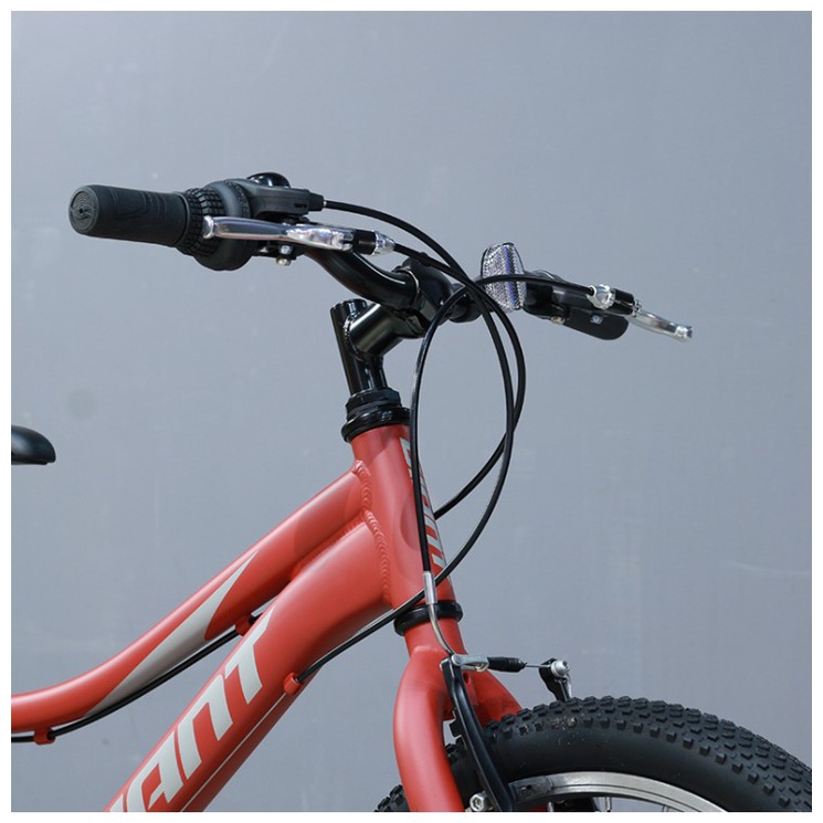 Xe đạp địa hình trẻ em Youth Giant XTC JR 20 Lite - 2021