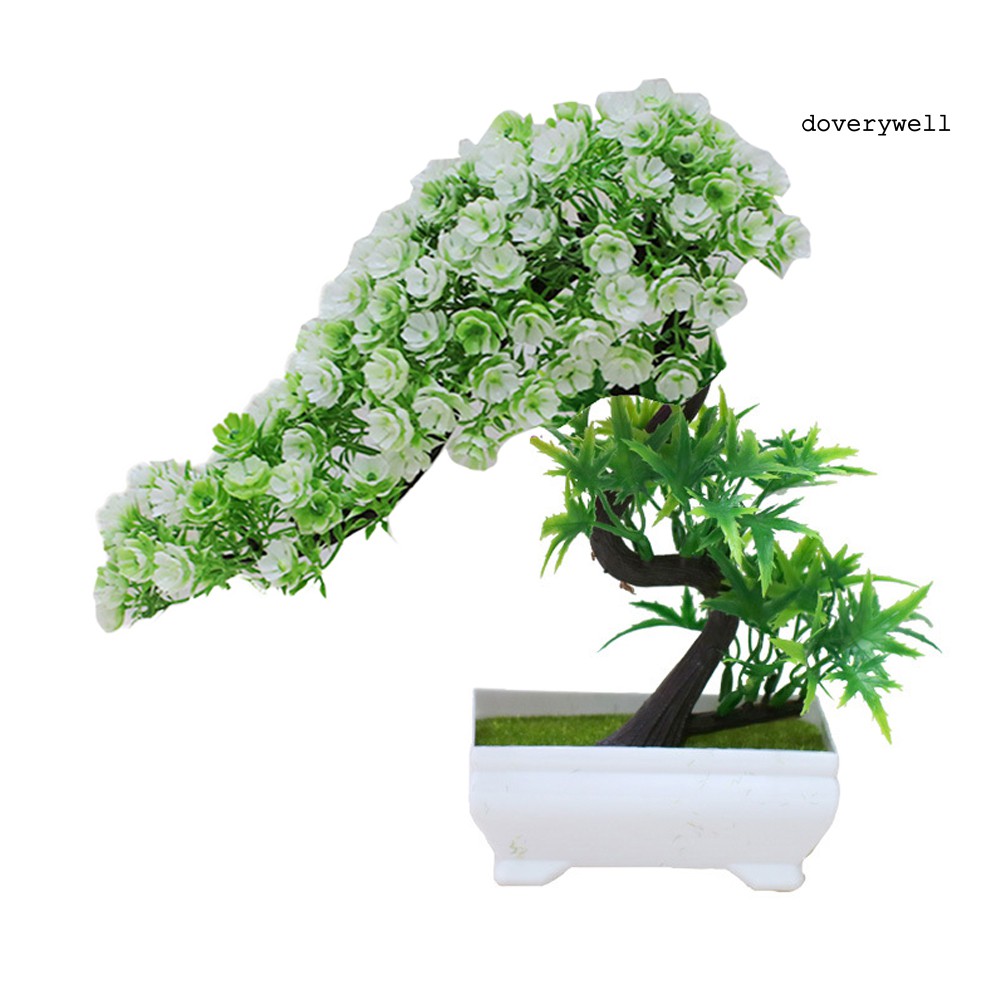 Đồ trang trí chậu cây bonsai mini bằng nhựa dùng trang trí