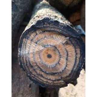 {SALE} CAO XẠ ĐEN 100G