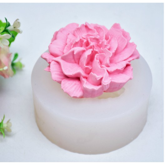 Khuôn Silicon Hoa Thái MS3