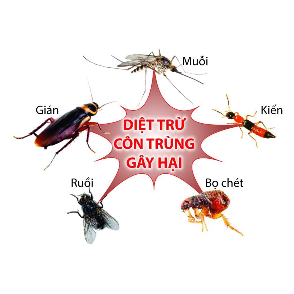 Combo 5 gói thuốc diệt muỗi, gián, kiến, ruồi, bọ chét, kiến ba khoang - FENDONA 10SC BASF ĐỨC (1 gói/5ml)