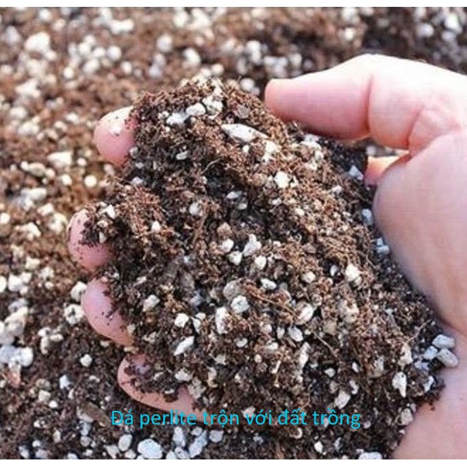 100gr Đá Perlite - Đá Trân Châu Trồng Cây - Giá thể trồng cây, trộn đất siêu tốt