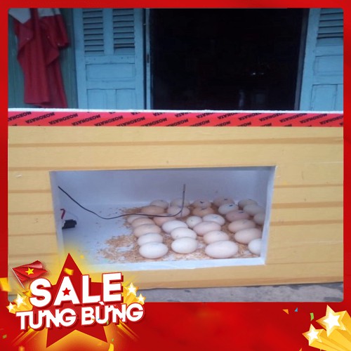 [ GIẢM GIÁ ] Máy ấp trứng Ánh Dương P100- máy ấp trứng đảo tay